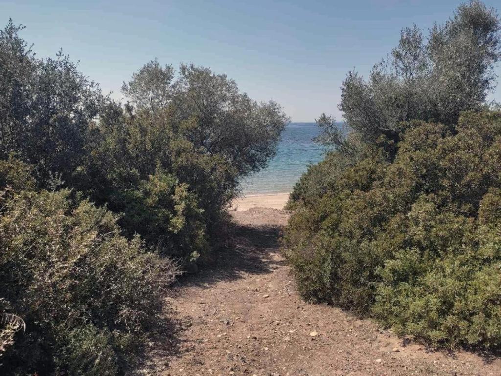 فيلا Enelia Vatopédhion المظهر الخارجي الصورة